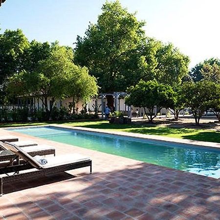 Noi Blend Colchagua Hotel Santa Cruz Eksteriør billede