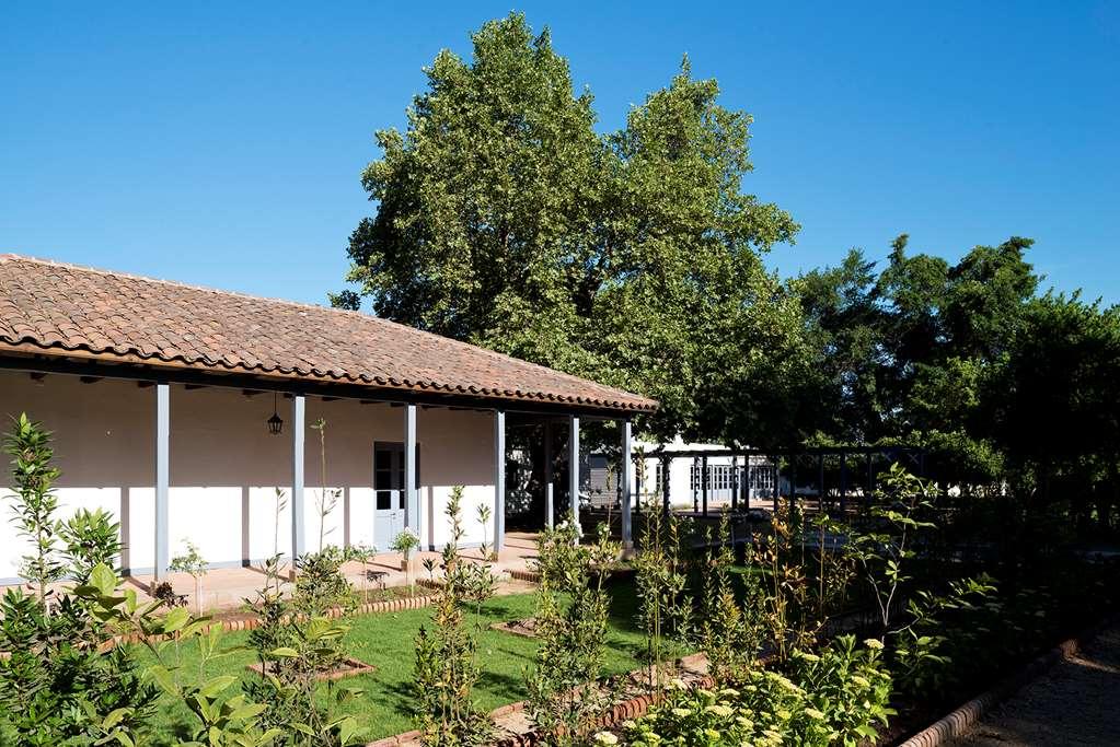 Noi Blend Colchagua Hotel Santa Cruz Eksteriør billede