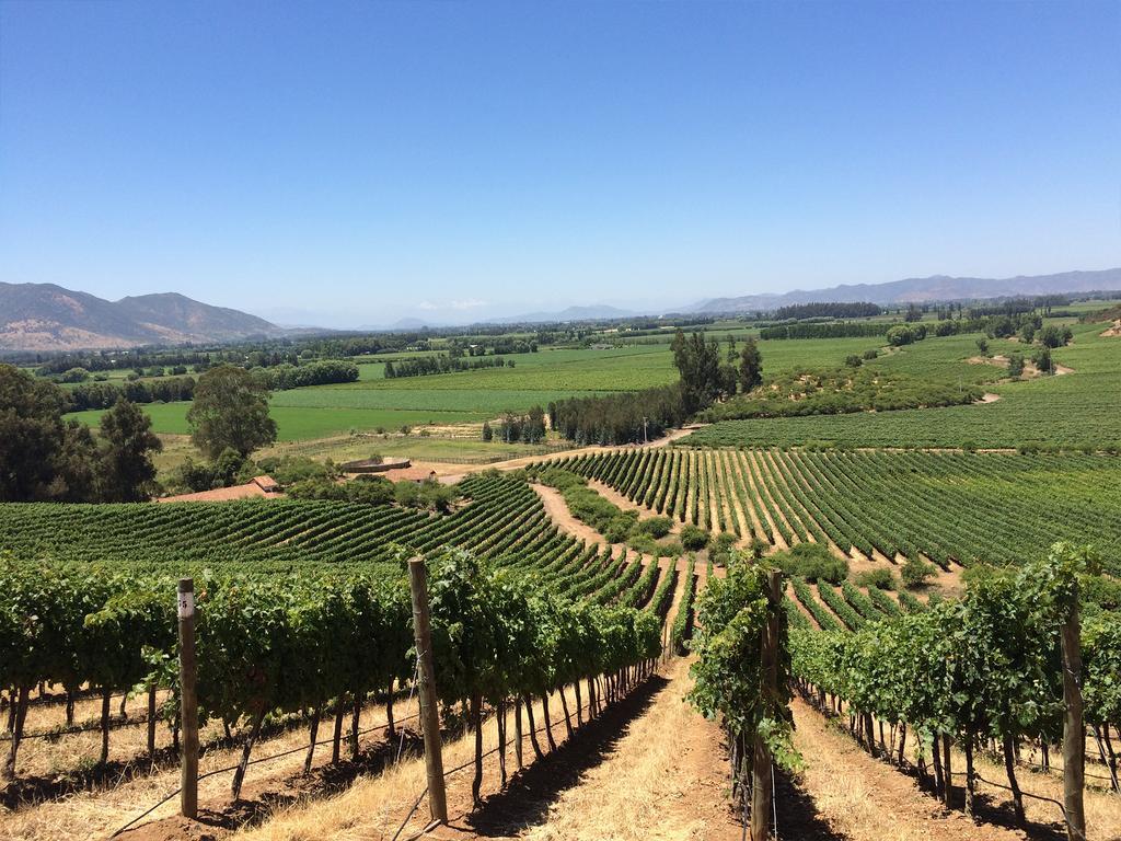 Noi Blend Colchagua Hotel Santa Cruz Eksteriør billede