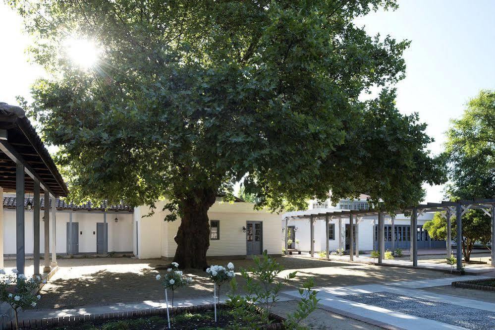 Noi Blend Colchagua Hotel Santa Cruz Eksteriør billede